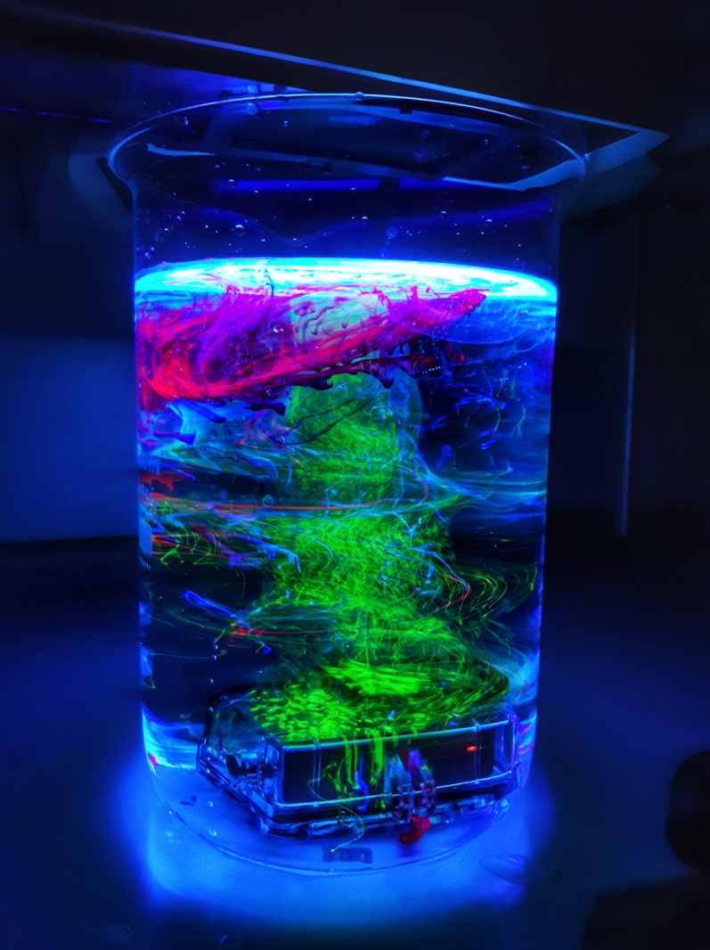 TTK_kutej_fenyek_laboratoriuma