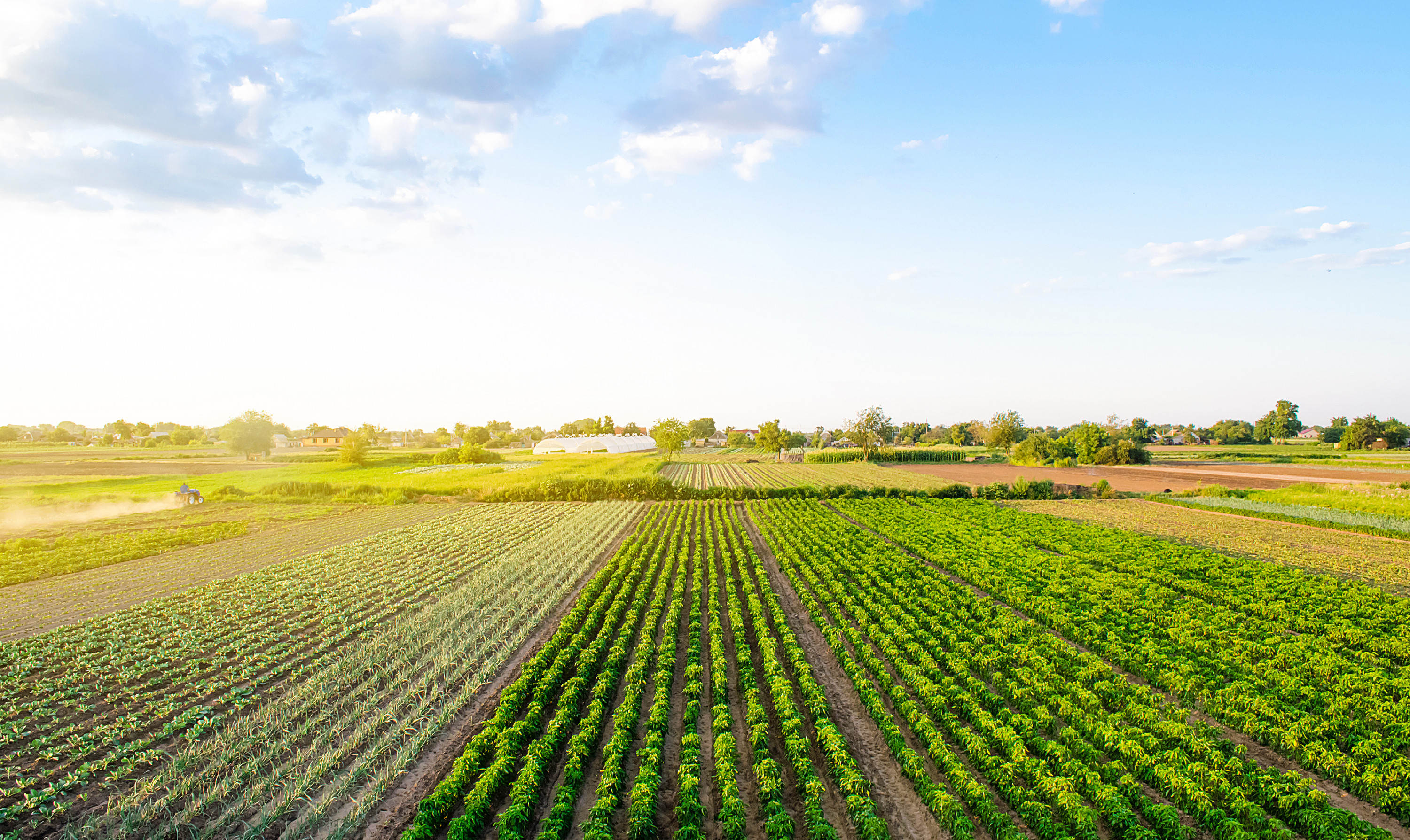 Újabb nemzetközi díj a ProPlanta rendszernek - FAO-elismerésben részesül a magyar tápanyag-gazdálkodási szoftver