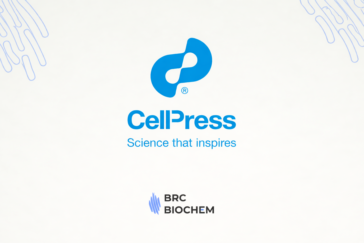 Szegedi fehérjék kulcsszerepe a jövőbeni vakcinafejlesztésben