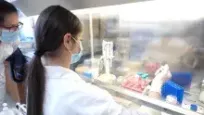 New Neuroprotective and Anti-inflammatory Drugs Identified and New Delivery Systems Developed in Szeged