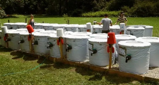 Az ÖK kutatói azt vizsgálták, hogy az állóvízi ökoszisztémák mennyire képesek ellenállni a hőhullámoknak, illetve helyreállni a hőmérsékleti stressz okozta változások után