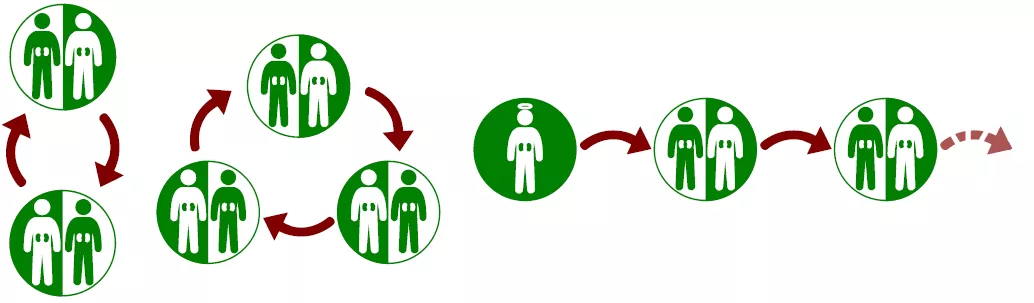 Hungarian researchers develop domestic and international kidney exchange programs - HUN-REN KRTK