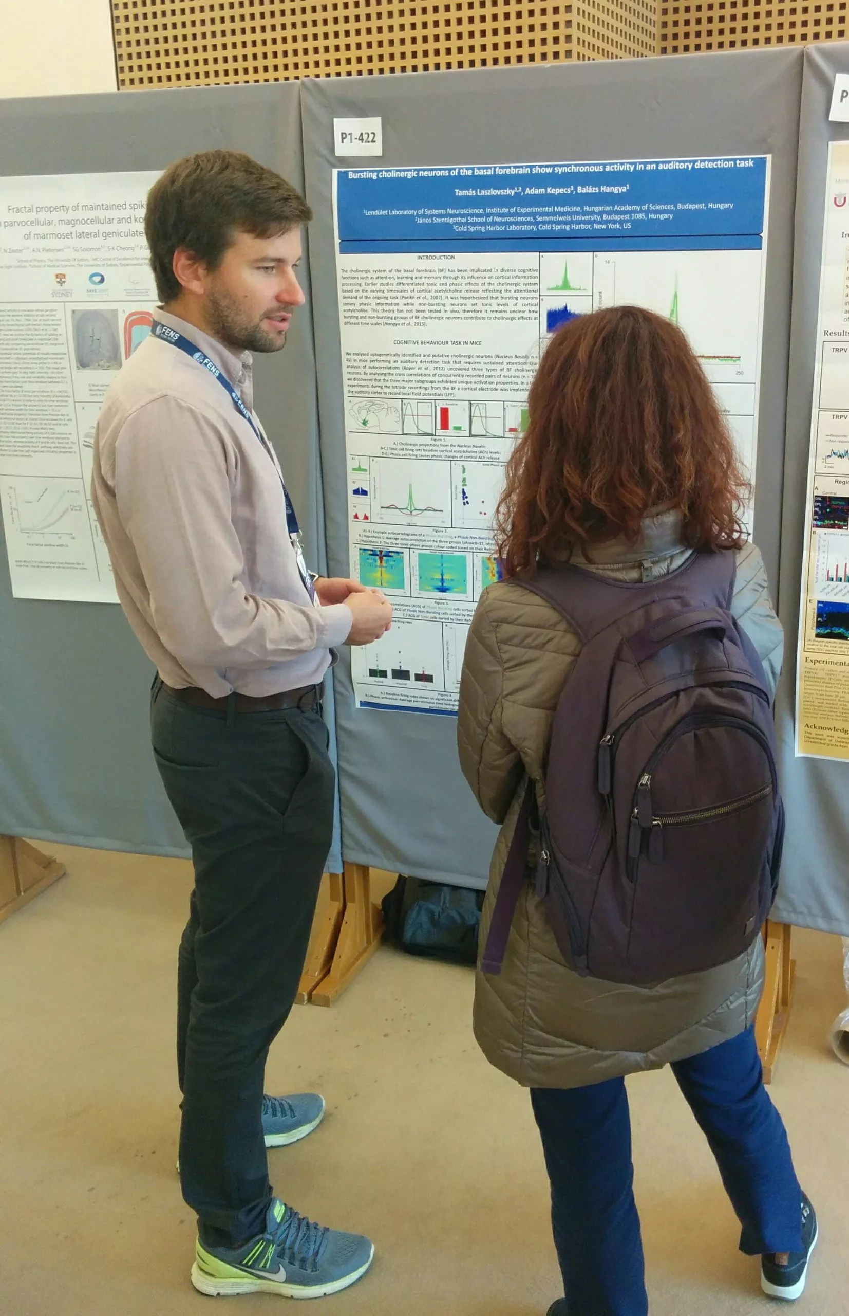 Hungarian researchers first in world to identify two types of cholinergic neurons in the basal forebrain