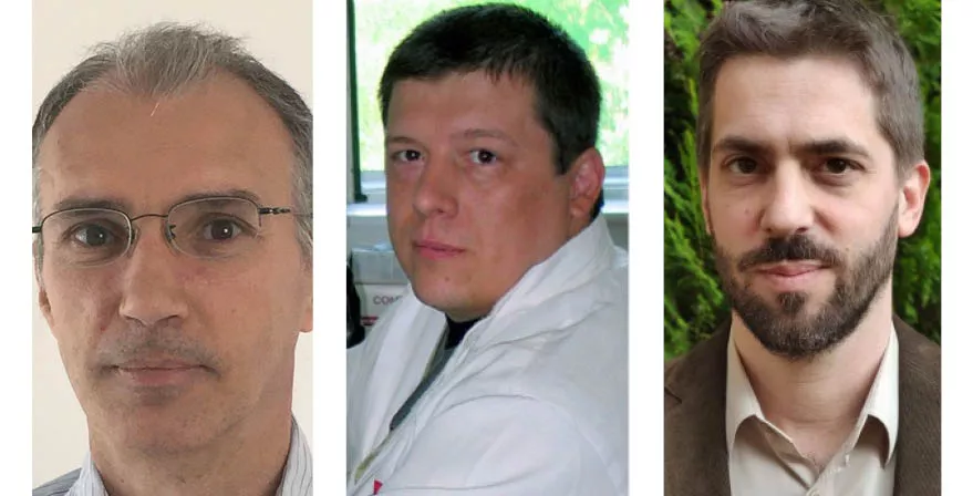 Zoltán Bajnok, Krisztián Bányai, Tibor Neumann
