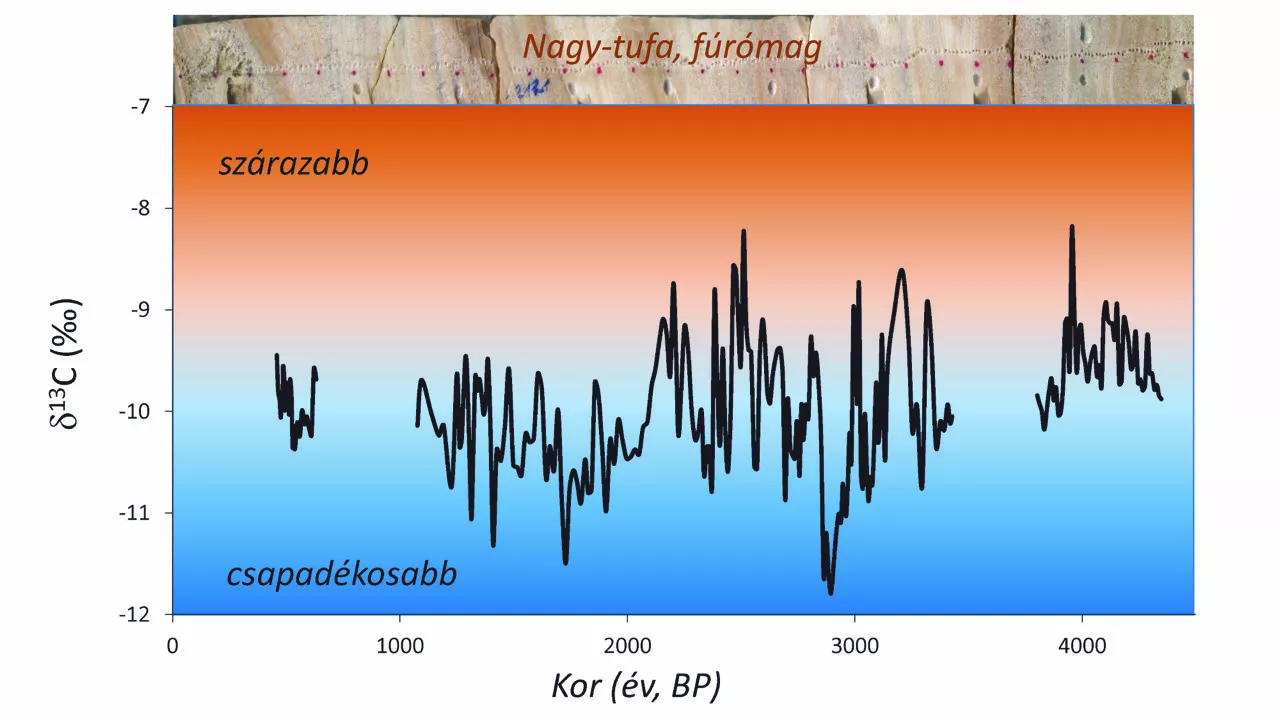 Stable carbon isotope composition of the Nagy Tufa deposit. Upper panel: the cross section of the BNT-2 core.