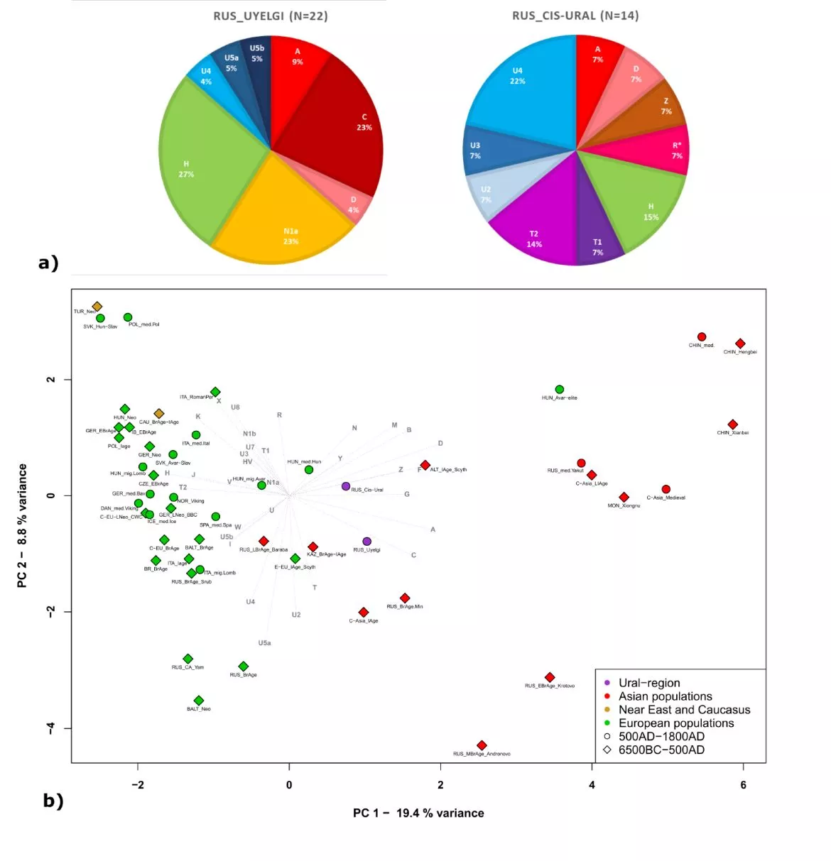 Az Urál nyugati (Cisz) és keleti (Transz, Ujelgi) előteréből származó mitokondriális haplocsoportok frekvenciái (a), és az ezen alapuló PCA-analízis diagramja (b)