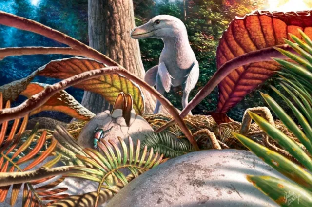 Reconstruction of Pseudogeckoolithus eggs and presumed egg-laying maniraptora dinosaur. Illustration: Julius Csotonyi©