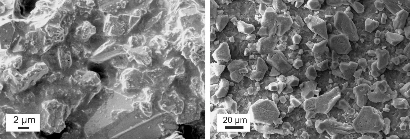 Biofilmmel borított, rendezetlen formájú karbonátkiválás (balra) és abiogén kalcitkristályok (jobbra)