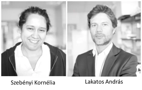 A Cambridge-i Egyetem Klinikai Idegtudományi Tanszékén, Dr. Lakatos András vezetésével és Dr. Szebényi Kornélia elsőszerzőségével a Nature Neuroscience-ben megjelent tanulmány egy új cerebrális organoid („miniagy”) betegségmodelljét