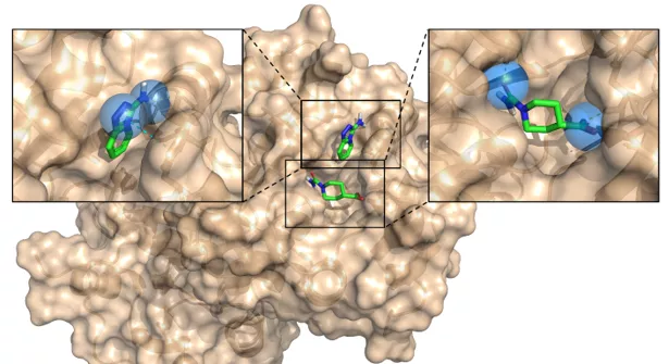 SpotXplorer fragment hit bound to the primary binding hotspot of the COVID-19 target NSP3 macrodomain. 