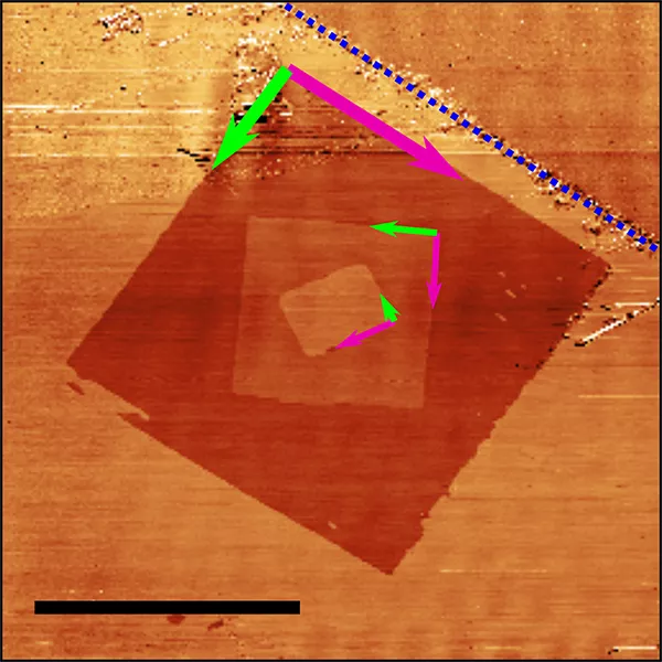 EK-CER and Wigner RCP researchers show that self-organizing crystal structures form in the surface contamination layer of two-dimensional materials within a few days