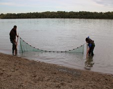 CER researchers investigate fish stock present in shallower sections of the Danube by fishing from the riverbank