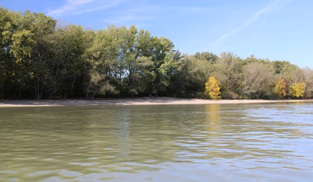 CER researchers investigate fish stock present in shallower sections of the Danube by fishing from the riverbank