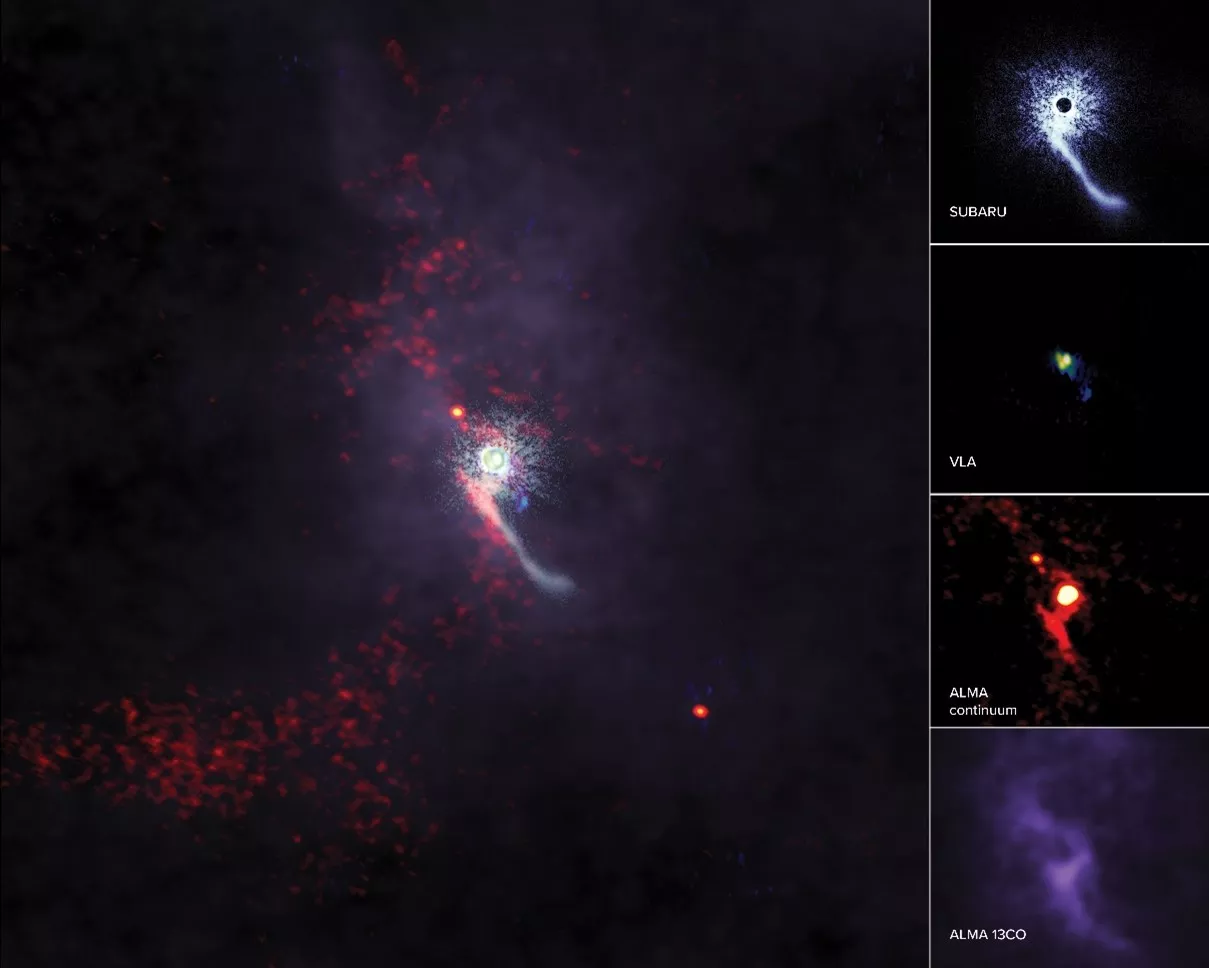 “Intruder” caught redhanded in rarely detected stellar flyby event