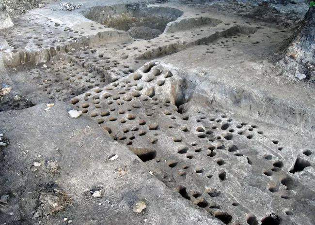 Archaeological research of the Carolingian Mosaburg and the early Árpád-era 'Colon civitas' at Zalavár-Vársziget continues with ELKH support