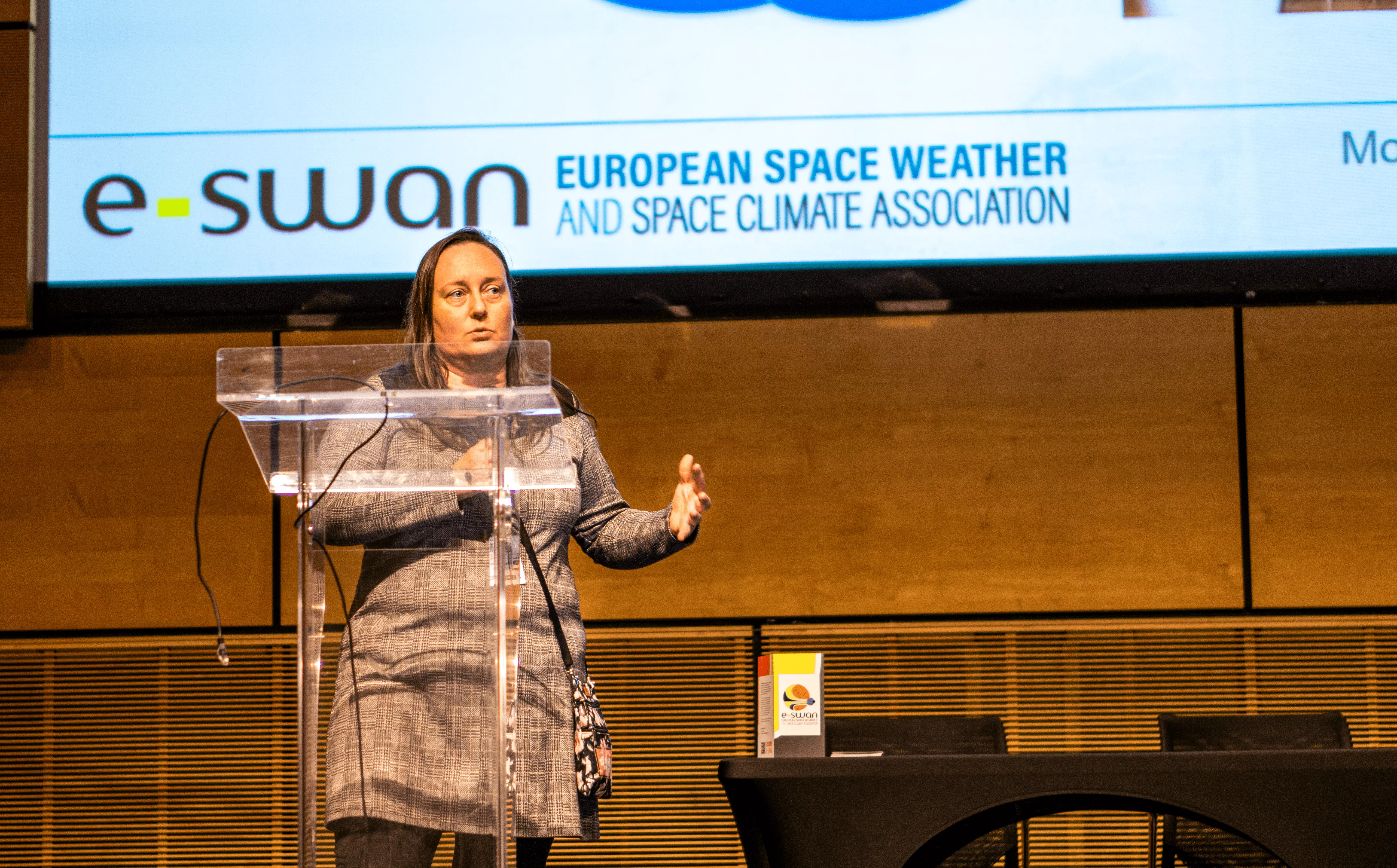 Andrea Opitz, senior research fellow at the Space Physics Research Group of the Wigner RCP to chair the international Award Committee of the European Space Weather and Space Climate Association (E-SWAN)