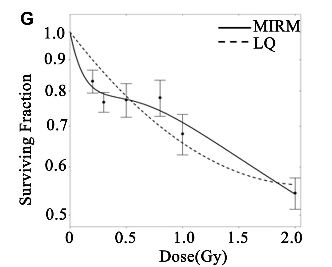 Researchers from EK-CER and the University of Cambridge used new methods to analyze the experimental data of previous studies on the effect of cell irradiation