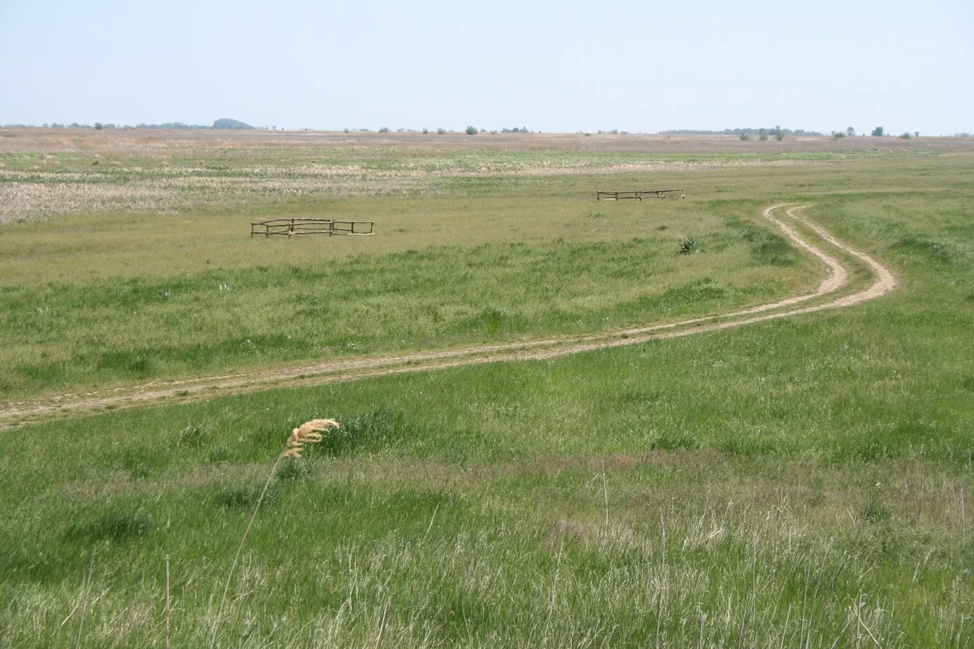 Ökológiai Kutatóközpont Vízi Ökológiai Intézetének kutatóinak vizsgálata szerint a szántók visszagyepesítése jelentős előnyökkel jár a mezőgazdasági élőhelyekhez kötődő madárfajok számára