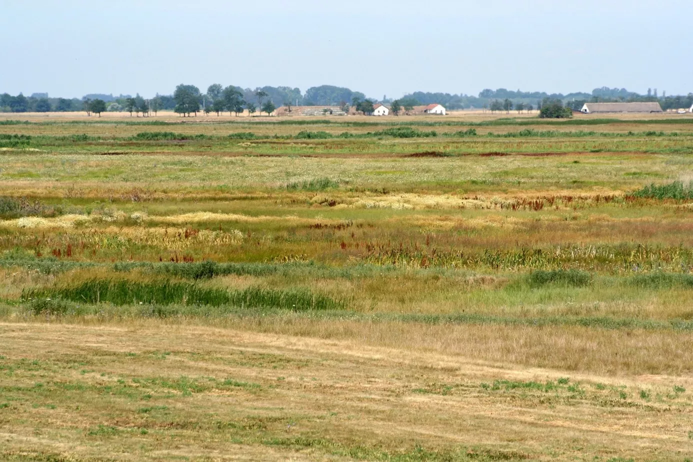 Ökológiai Kutatóközpont Vízi Ökológiai Intézetének kutatóinak vizsgálata szerint a szántók visszagyepesítése jelentős előnyökkel jár a mezőgazdasági élőhelyekhez kötődő madárfajok számára