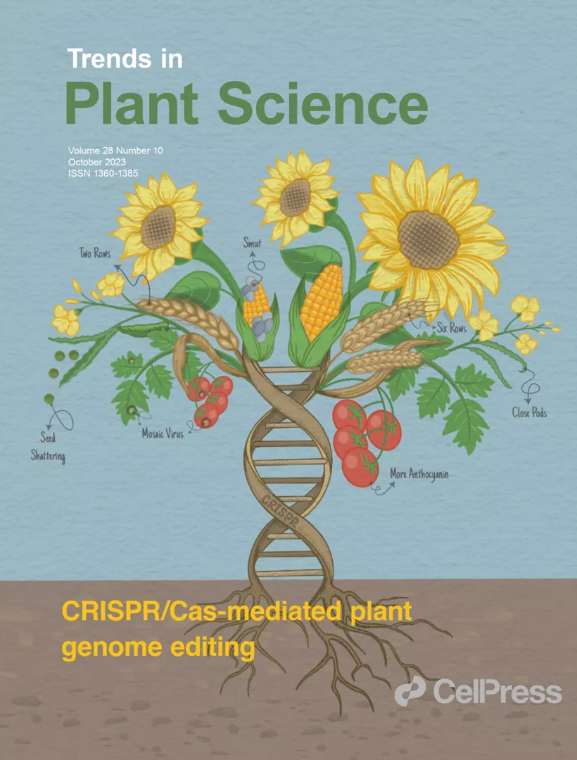 An international study with the participation of an ATK (Centre for Agricultural Research) senior researcher analyzed challenges related to the CRISPR/Cas gene editing system