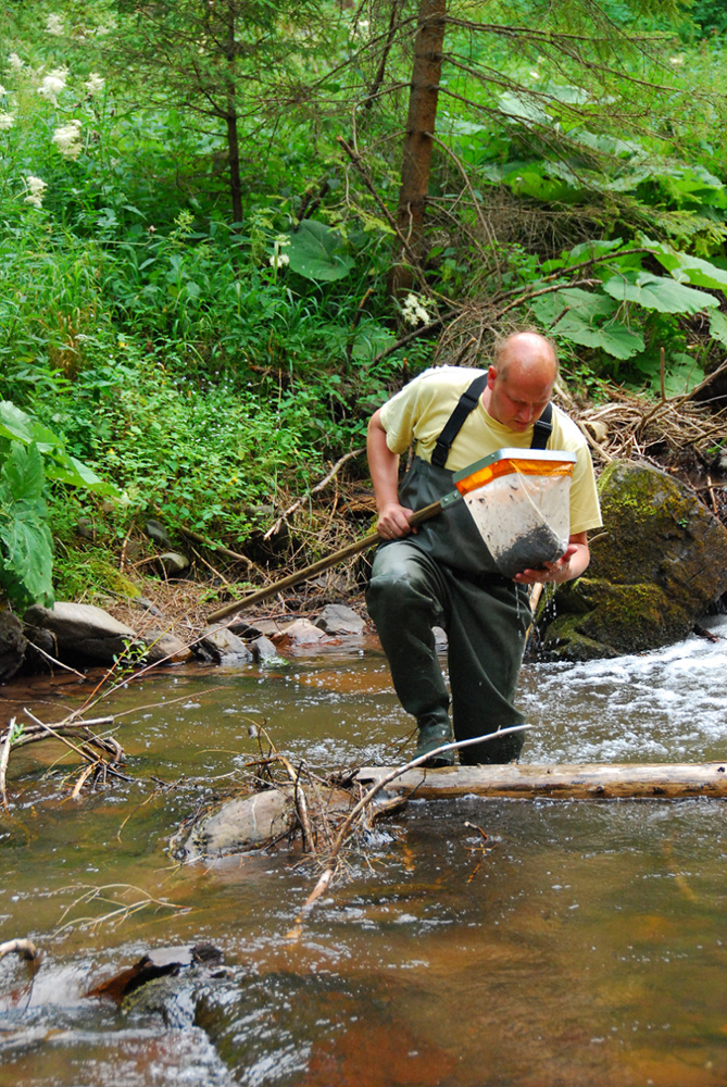 New study with the involvement of Hungarian researchers calls for urgent action due to halt in the recovery of European freshwater biodiversity