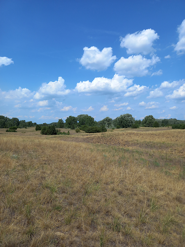 HUN-REN researchers examined whether macroclimate can explain the distribution of the Eurasian forest-steppe zone