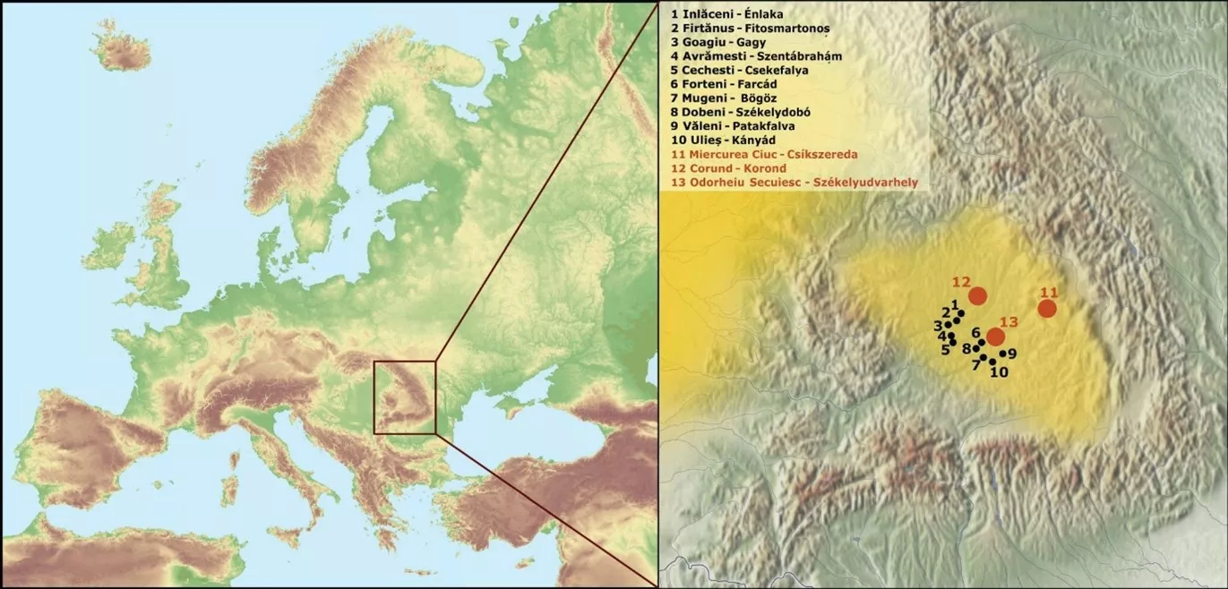 The results of studies conducted under the leadership of BTK researchers show a predominantly central and south-eastern European composition of the population in the Székelyudvarhely region of Transylvania