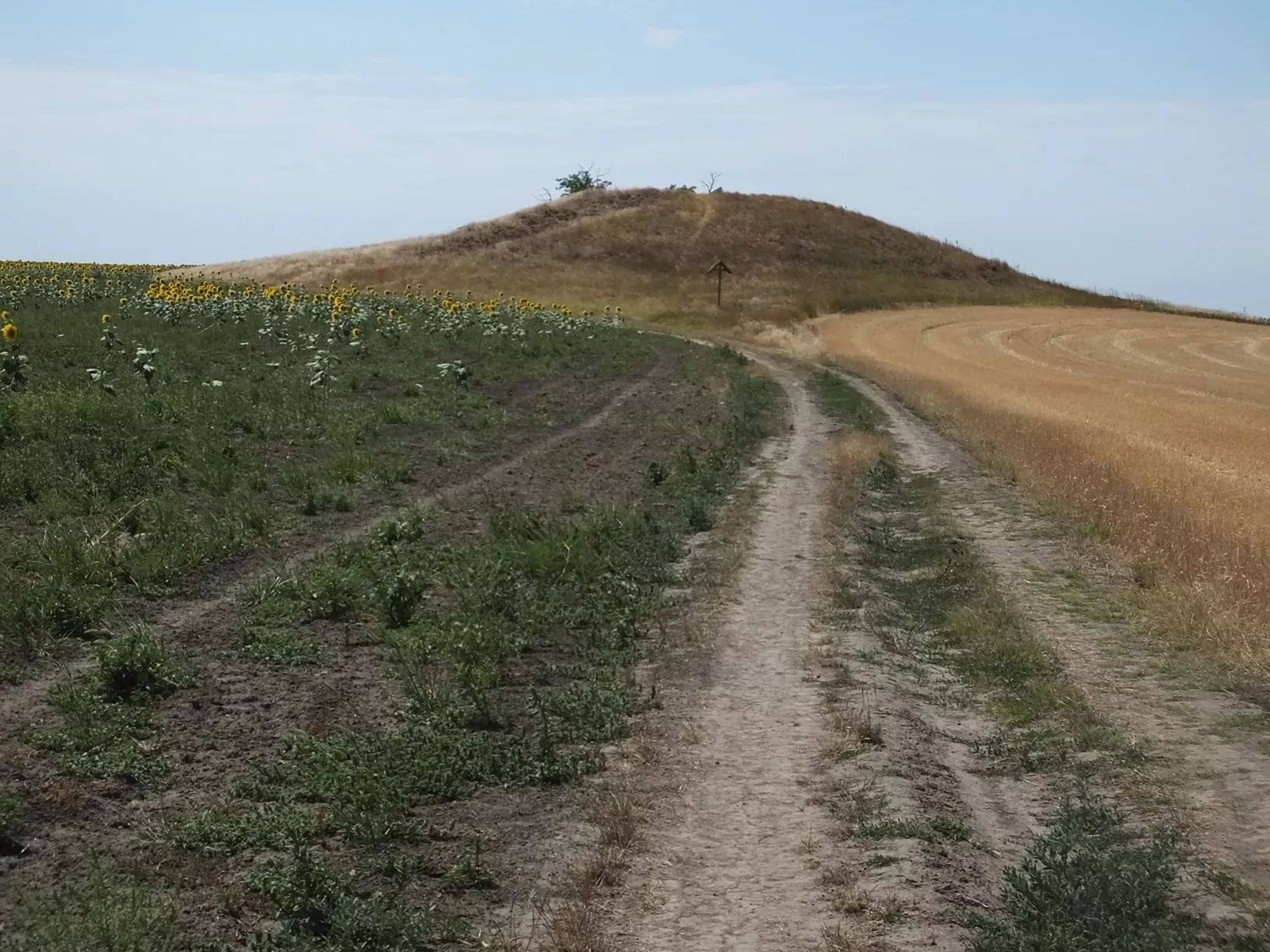 CER researchers demonstrated the significant role of small isolated habitat patches in preserving biodiversity
