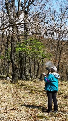 CER researchers investigate the song of the collared flycatcher with computer simulations in order to understand animal cultures