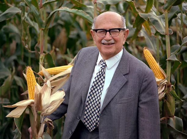 ATK organized a conference to celebrate the 70th anniversary of creating the first European hybrid corn in Martonvásár