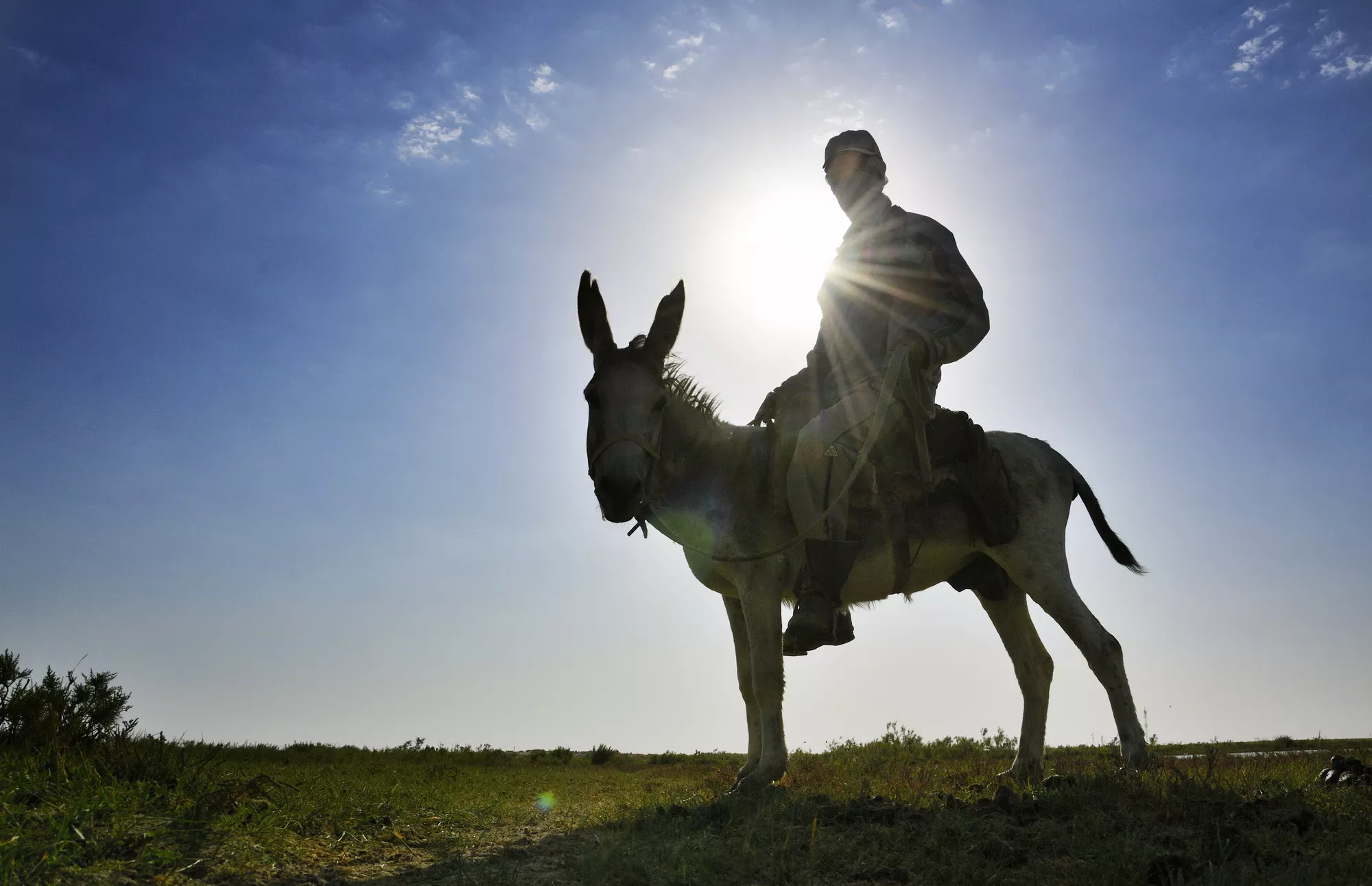 Psalmus Hungaricus: A Hungarian Cultural History címmel háromkötetes angol nyelvű kiadványt jelentetett meg a BTK a magyar művelődés történetéről