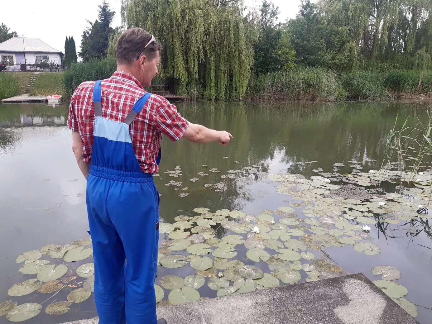 Az ÖK kutatói a most indított Tudós Horgász projektben a szabadidős horgászok segítségét kérik a hazai vizek állapotának felméréséhez