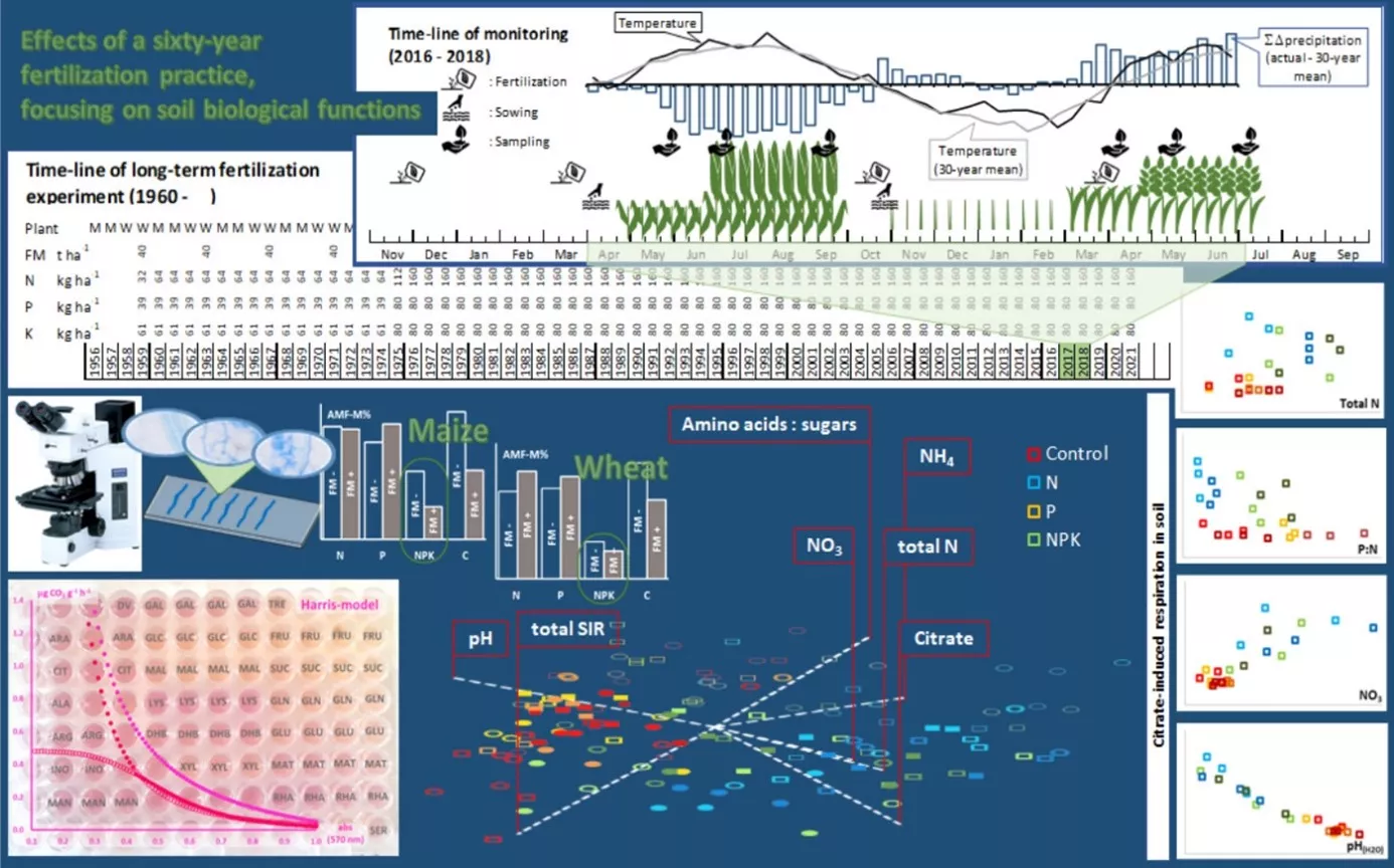 HUN-REN CAR researchers identified the long-term effects of different fertilization practices on the functional diversity of soil microbiota