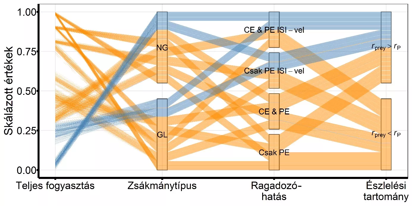 HUN-REN CAR researcher demonstrates that social information use in herbivore pests can increase the success of biological control