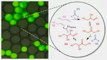 The groundbreaking results of an international experiment involving CER research professor bring us closer to understanding the origin of life