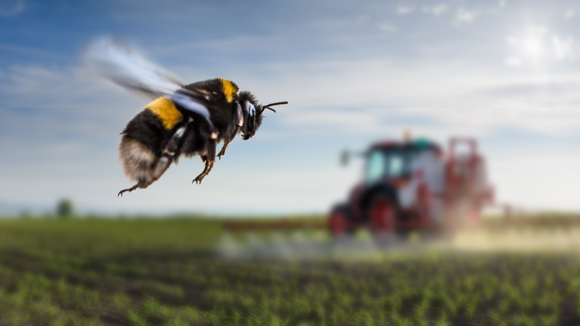 Exposure to insecticide formulation alters bumblebee foraging behaviour, but not peripheral perception