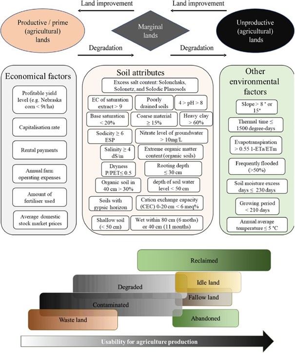 HUN-REN CAR researchers’ paper reviews the concepts and utilisation of agricultural marginal lands