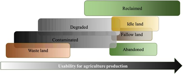 HUN-REN CAR researchers’ paper reviews the concepts and utilisation of agricultural marginal lands