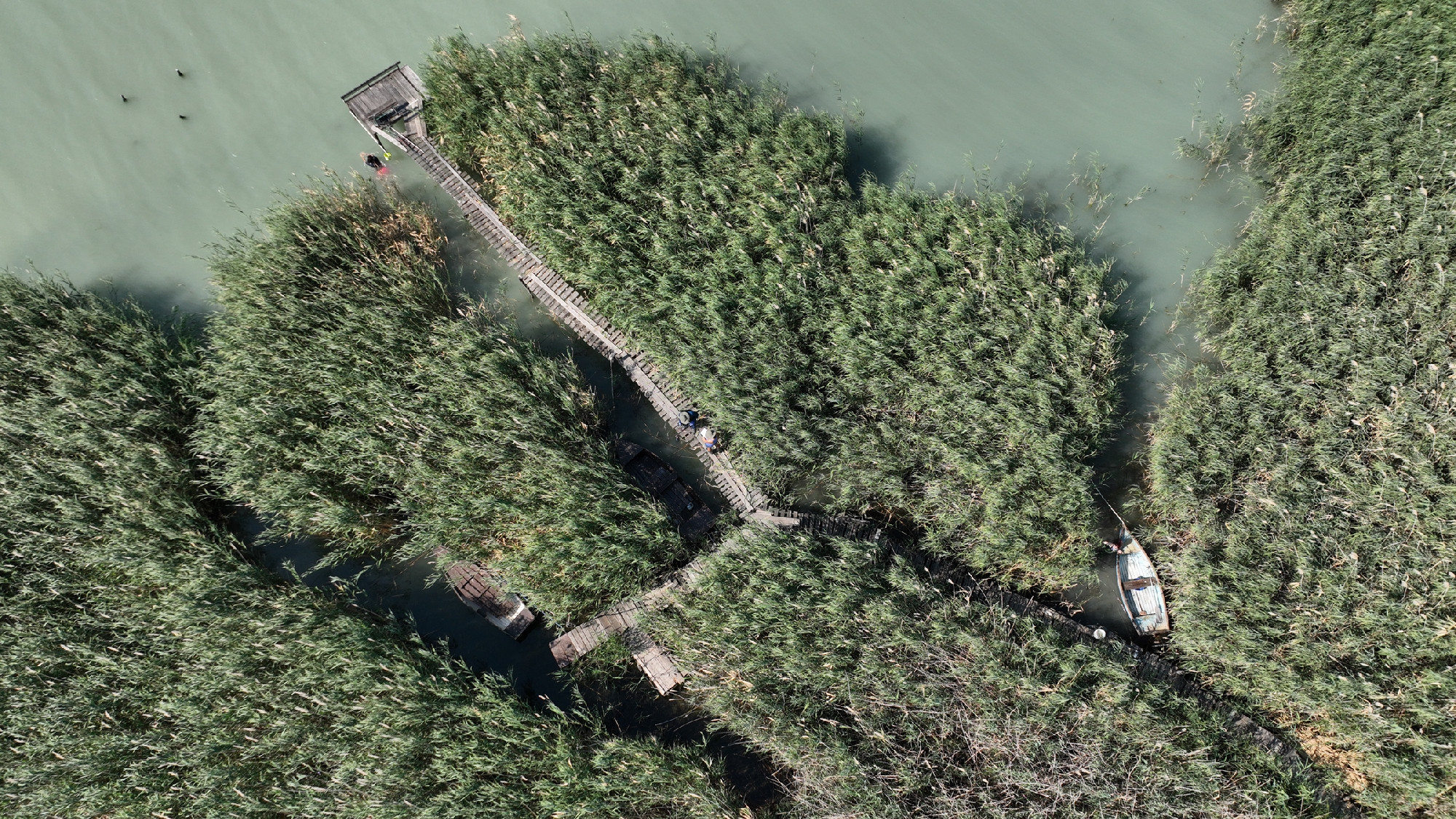 Using data from the first military survey of the Habsburg Empire in 1782, as well as world war military surveys and aerial photographs from Google Maps, HUN-REN BLRI researchers have evaluated changes in the catchment and shoreline of Lake Balaton over th