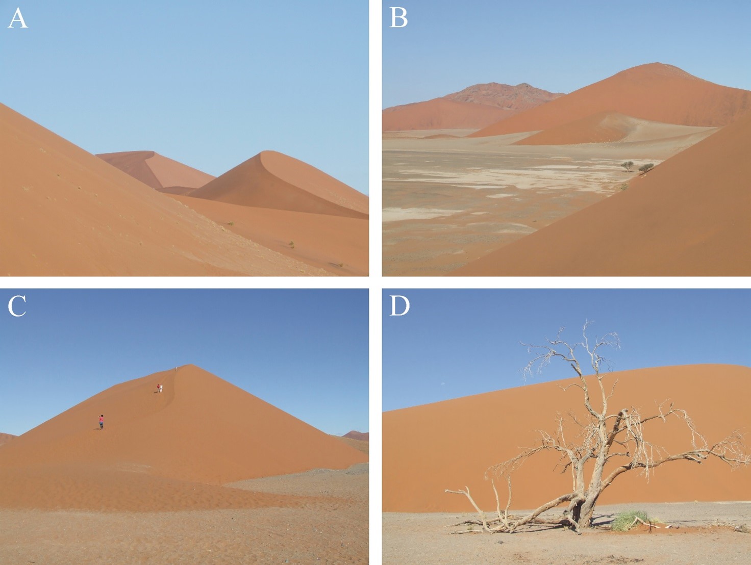 HUN-REN, ELTE researchers confirm existence of L5 Kordylewski dust cloud with new polarimetric measurements