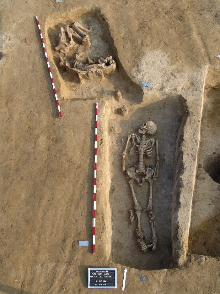 A HUN-REN BTK Archeogenomikai Intézet munkatársainak közreműködésével, az Eötvös Loránd Tudományegyetem és a lipcsei Max Planck Evolúciós Antropológiai Intézet kutatóinak vezetésével készült, és a Nature folyóirat hasábjain megjele