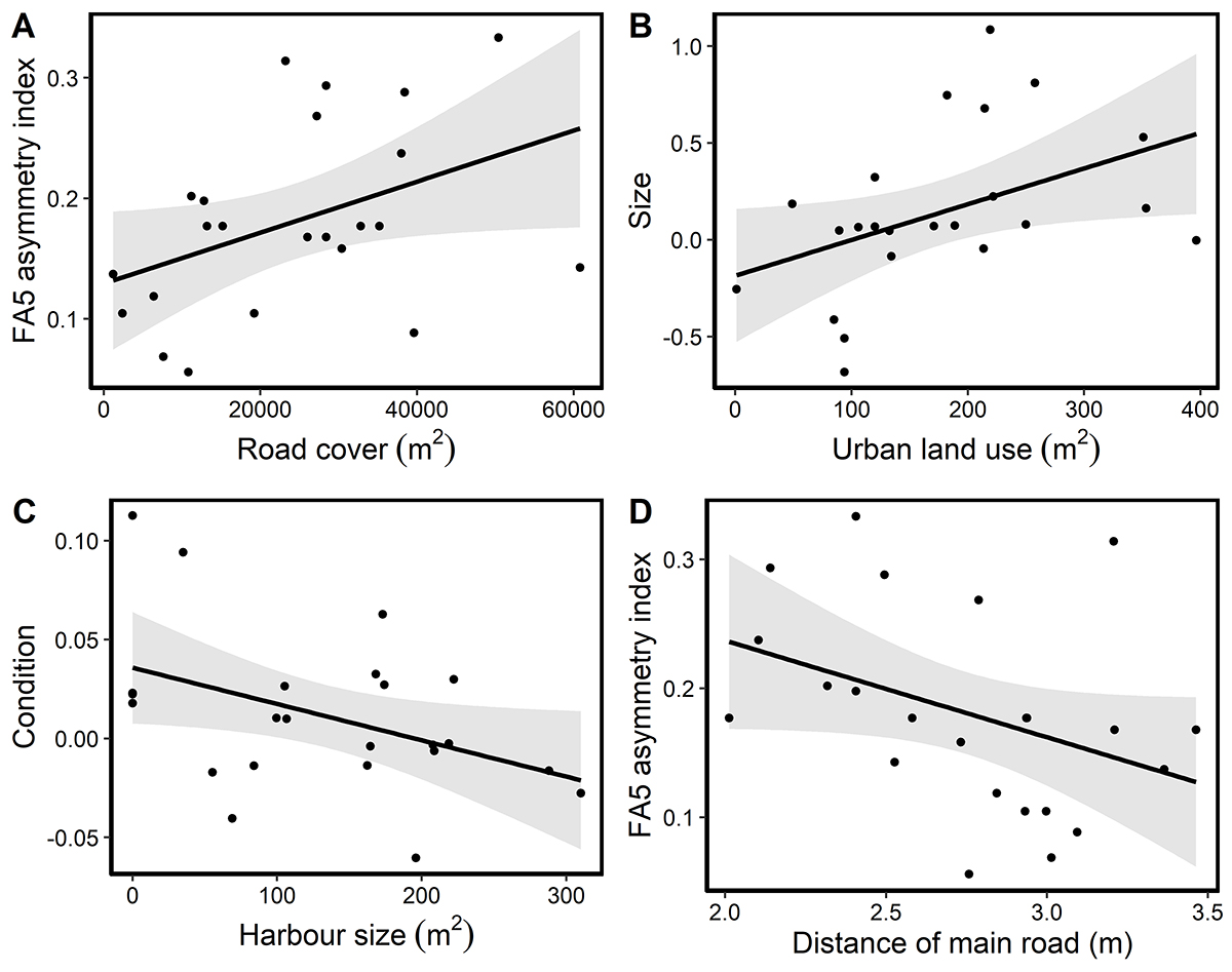 HUN-REN BLRI researchers investigated the effects of artificial lakeside habitats on the development of dice snakes