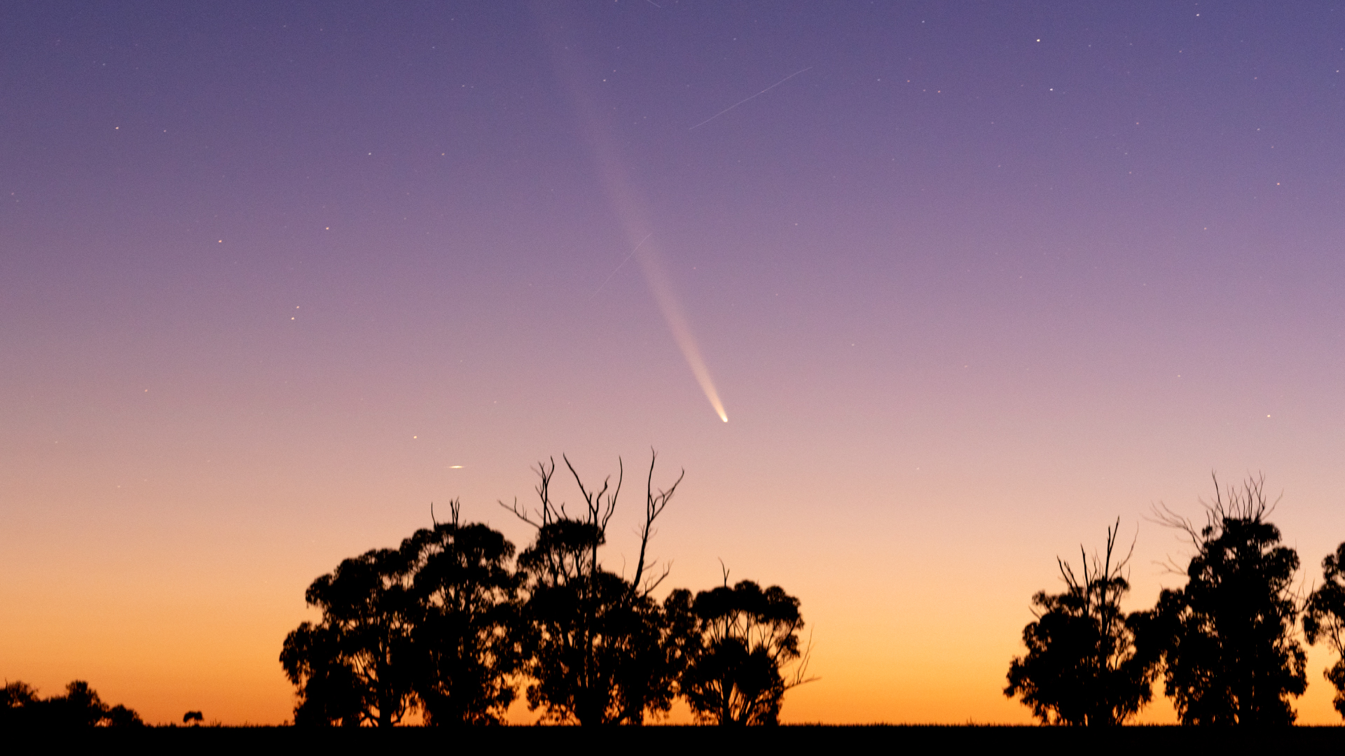 Brightest Comet of the Year Provides Astronomers with Important Insights