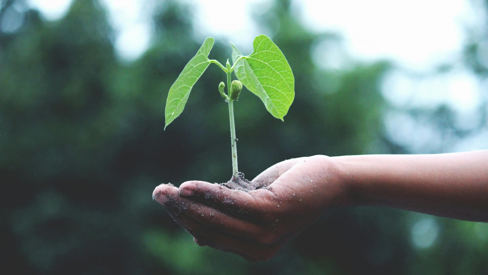 How is science shaping our future? From climate research to healthcare