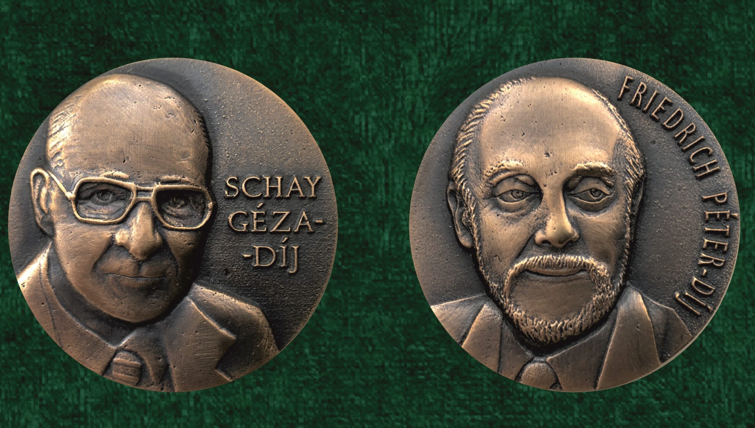 Átadták az idei Schay- és Friedrich-díjakat 