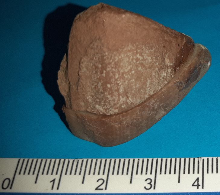 csfk_bme_rágószerv