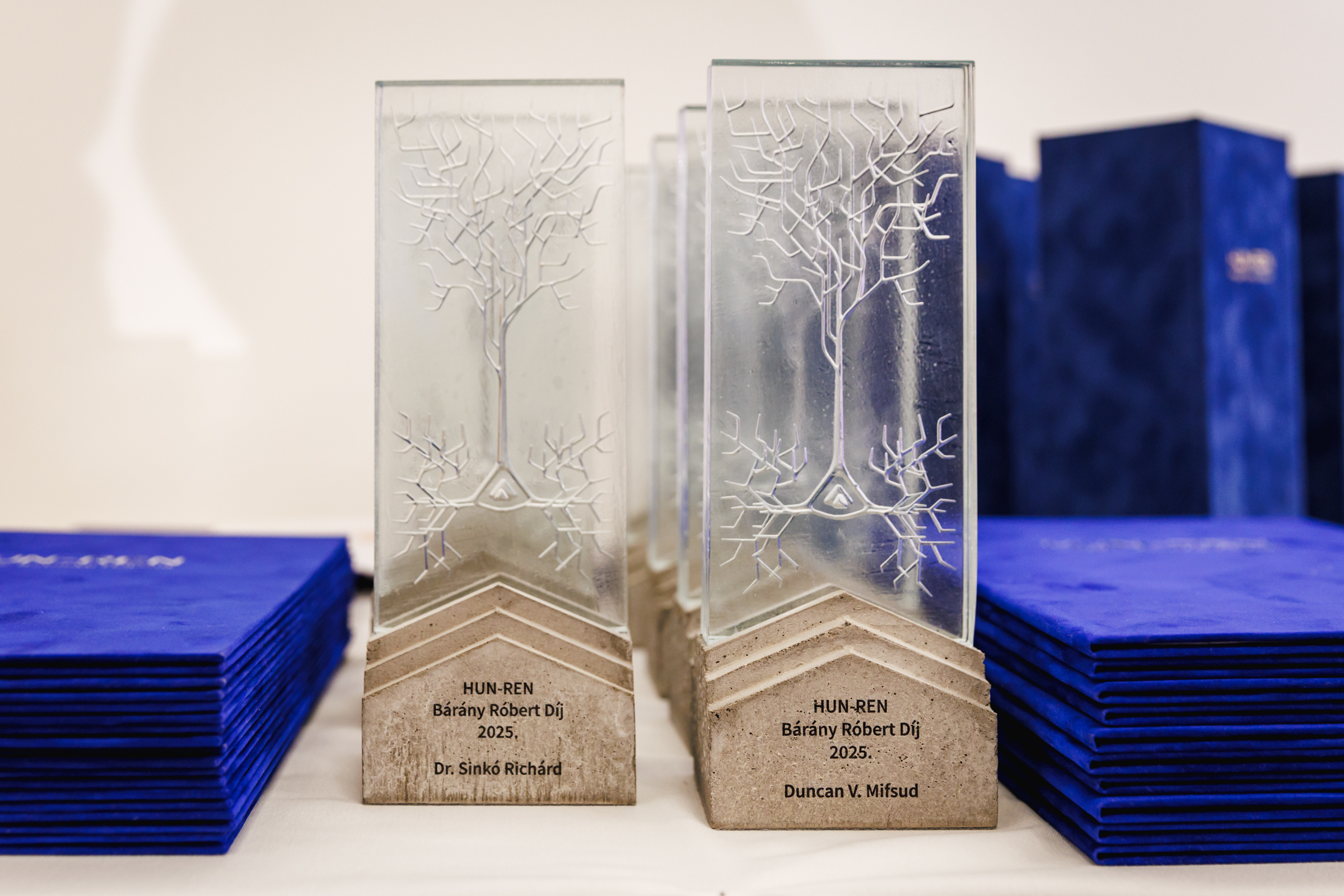 Twenty HUN-REN researchers honored at the research network’s year-end gala