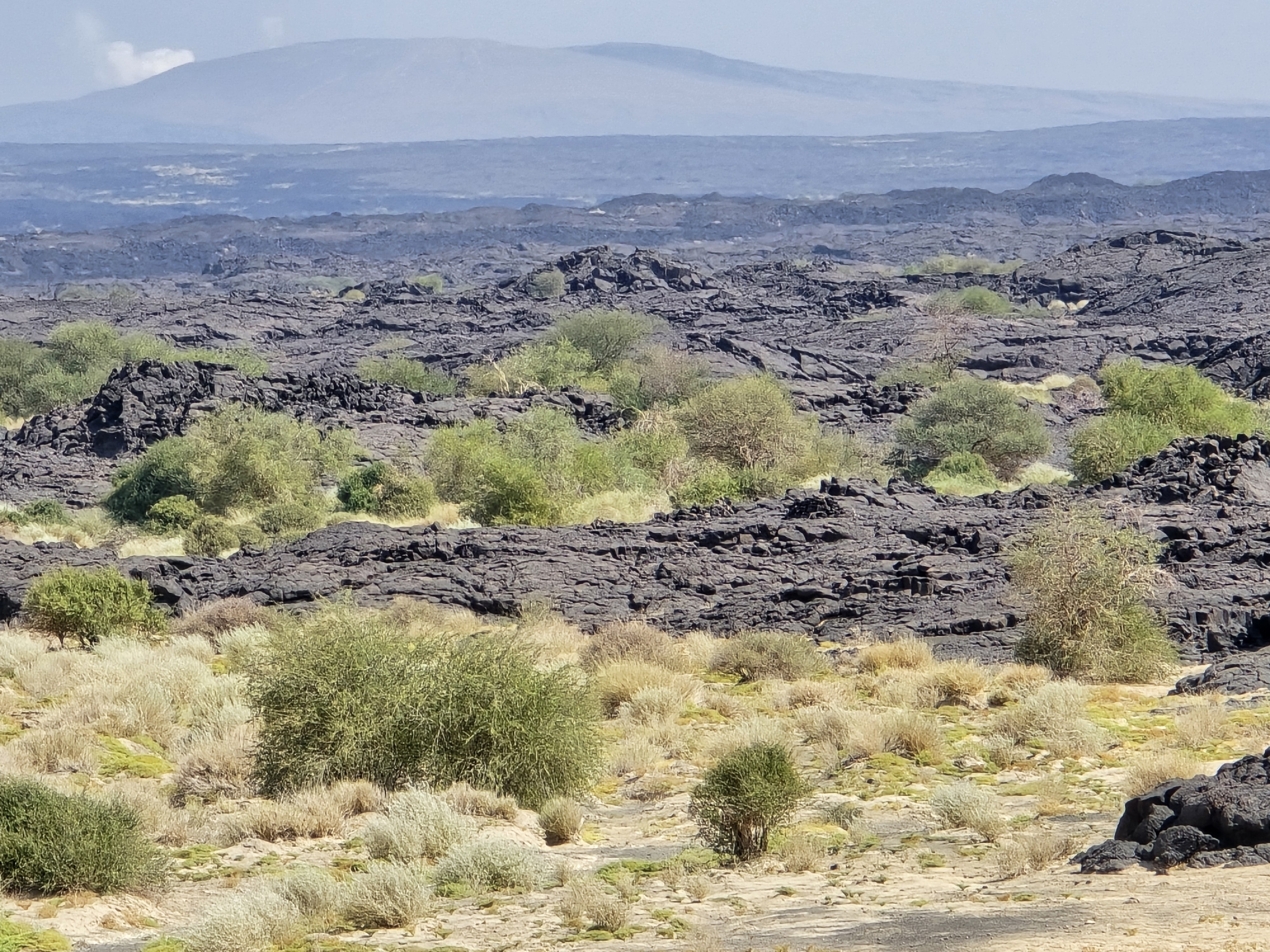 Hayli_Gubbi_vulkán_kitörésutáni fázisa_2