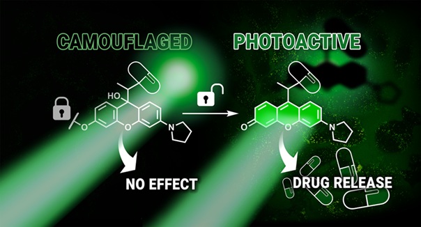 Csak ott lép működésbe, ahol kell: újfajta célzott rákterápián dolgoznak a HUN-REN TTK kutatói