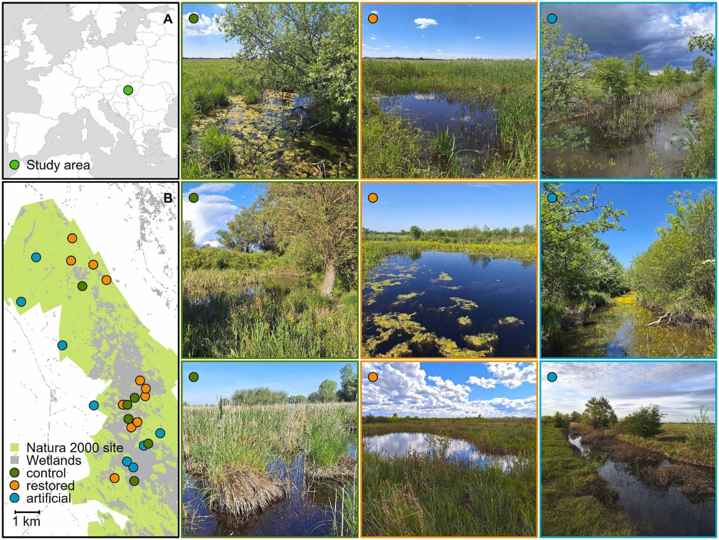 1-s2.0-S235198942500438X-gr1_lrg